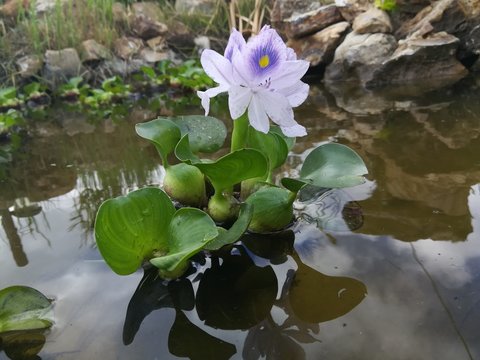 投注彩票,赢得大奖